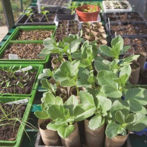 Late-winter tips and tricks