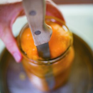 Preserving basics
