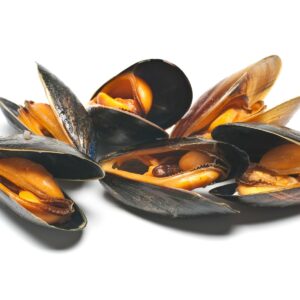 Science update: Vitamin B12