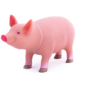 Shopping guide: Free-range pork