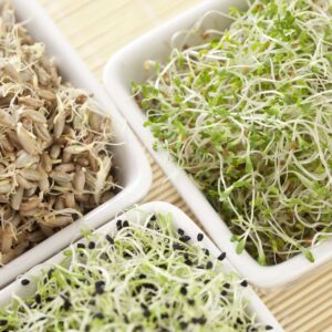 Sprout your own seeds