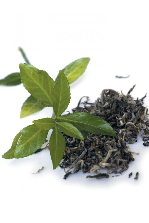 Tea: Which type is best?