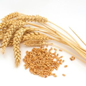 What does ‘whole grain’ mean?