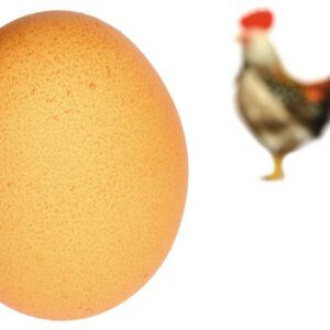 What is free range?