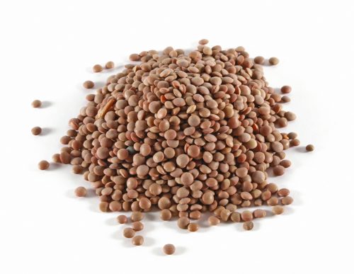 What to do with brown lentils