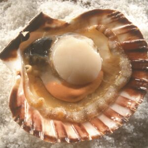 What to do with scallops