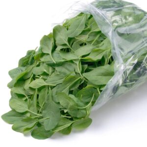 UK salmonella salad risk doesn’t apply in NZ – study