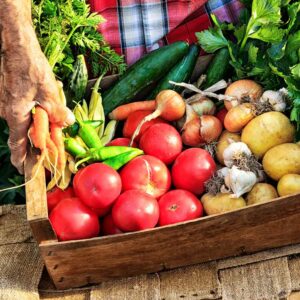More veges can boost vitality in just two weeks