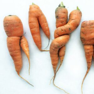 ‘Ugly’ produce sales to fight waste