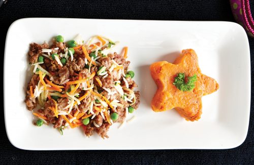 Doggy stir-fry with sweet potato mash