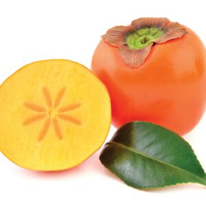 In season early winter: Persimmons, red cabbage, yams