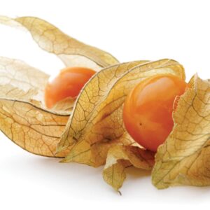 In season early spring: Cape gooseberries, coriander, gai lan