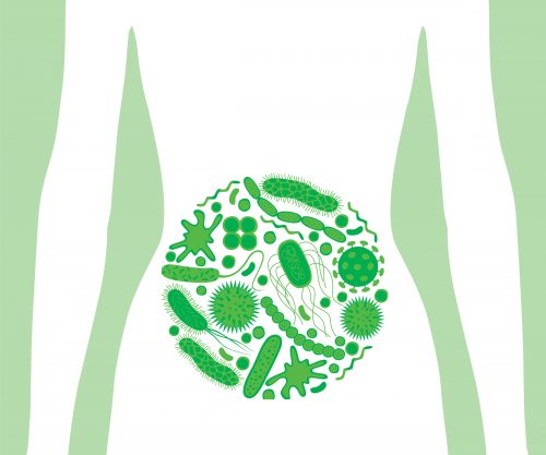 Build better immunity: The secret weapon of a healthy gut