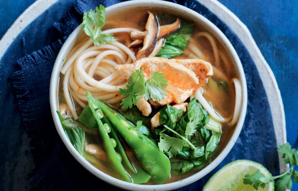 Spicy chicken and bok choy udon noodle soup udon noodle soup with vegetables and chicken