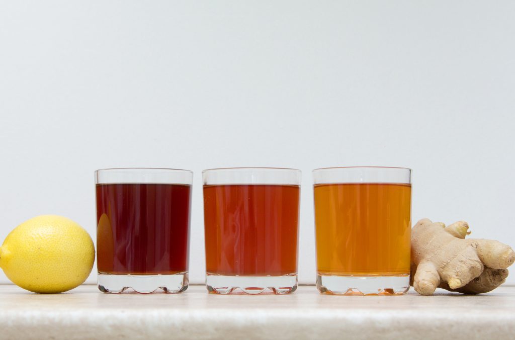 Kombucha Kombucha