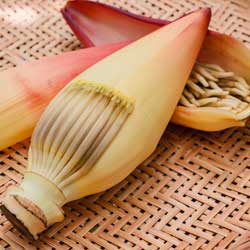 Two banana blossoms, one halved Two banana blossoms, one halved