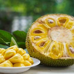 Halved jackfruit Halved jackfruit