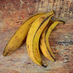 Three ripe plantains Three ripe plantains