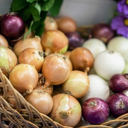 What are the health benefits of onions (and other alliums)?