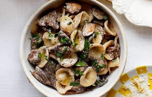 Orecchiette with creamy madeira mushrooms