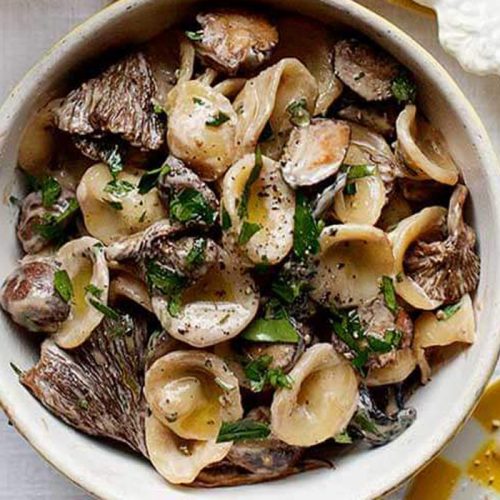 Orecchiette with creamy madeira mushrooms
