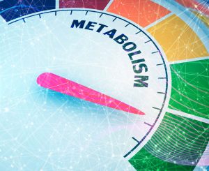 Why your metabolism may not be slowing with age
