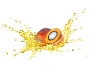 Can palm oil raise your cholesterol levels?