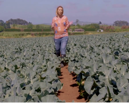 Healthy Food Guide TV Series episode 3