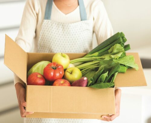 meal delivery kits