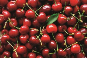 Fruit spotlight: Cherries