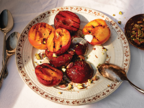 Chargrilled plums with honey yoghurt