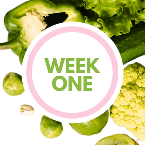 Fresh Start week one