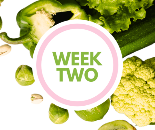 Fresh Start week two