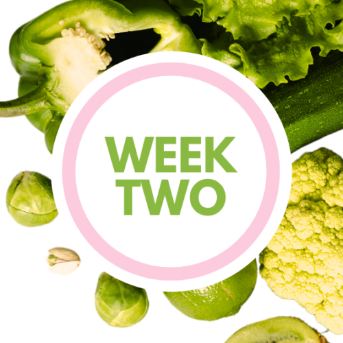 Fresh Start week two