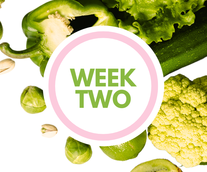 Fresh Start week two