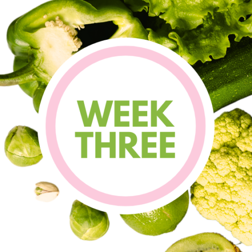 Fresh Start week three