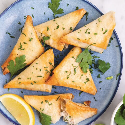Tuna triangles