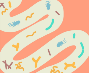 Ask the expert: how to support gut health while on antibiotics
