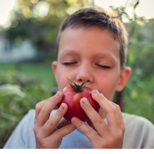 Ask the expert: What impact can natural food chemicals have on behaviour