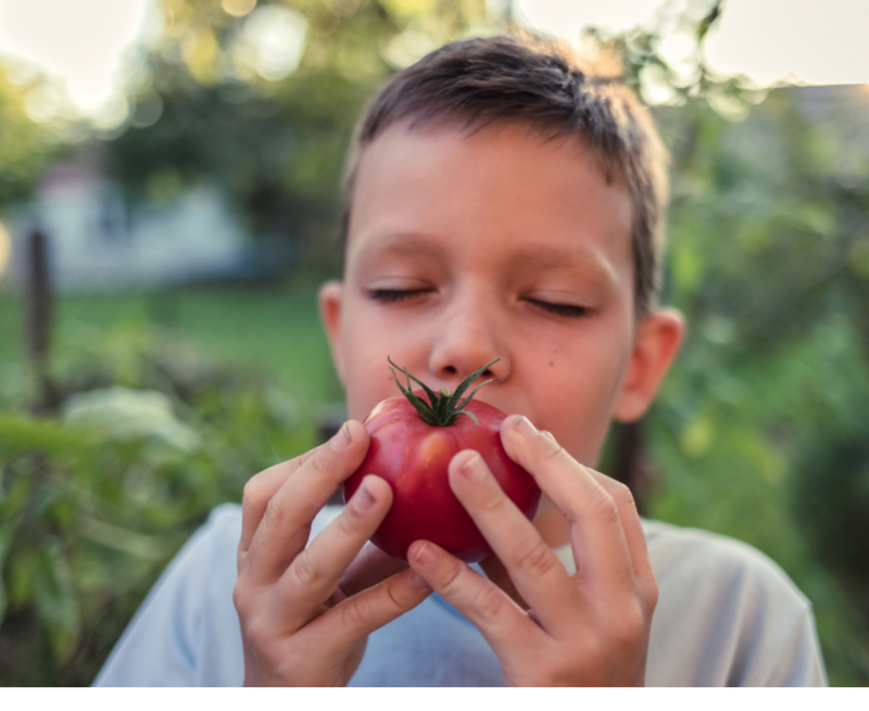 Ask the expert: What impact can natural food chemicals have on behaviour