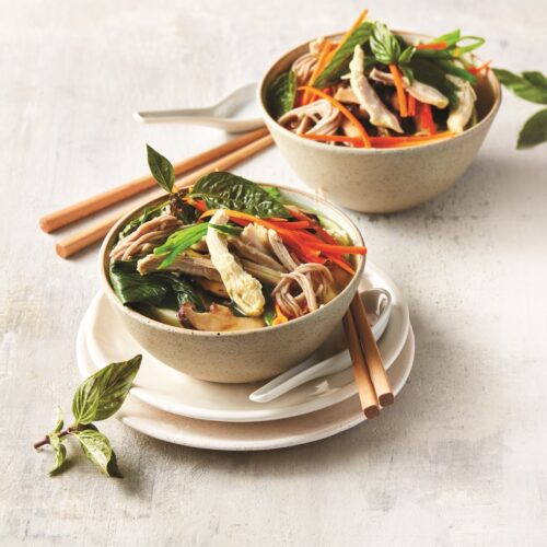 Asian style chicken noodle soup