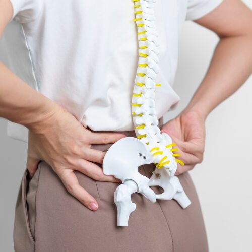 Osteoporosis: How to look after your bones for healthy ageing