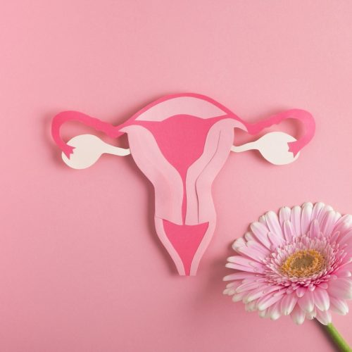 Navigating peri and menopause – a complete guide