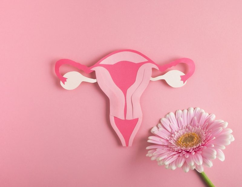 Peri and menopause guide